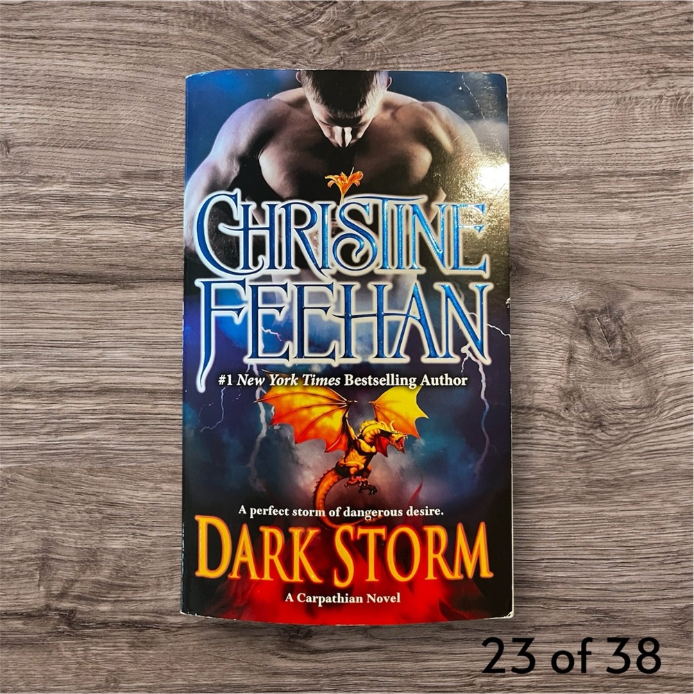 Dark Storm by Christine Feehan Book